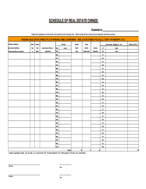 Schedule of Real Estate Owned  Form