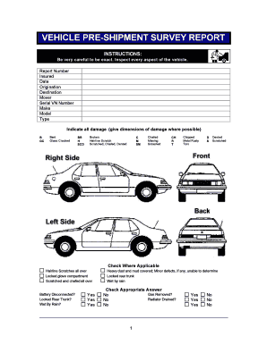 VEHICLE PRE SHIPMENT SURVEY REPORT  Form