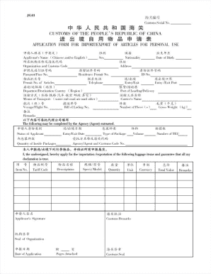 China Customs Declaration Form PDF