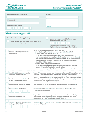  Spp1 Form Interactive 2008