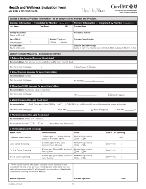  Wellness Evaluation Form 2013