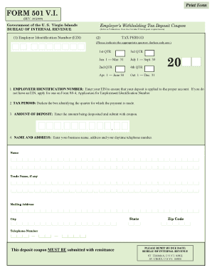 501 Vi Tax Form