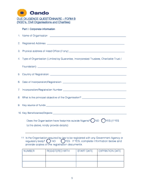 DUE DILIGENCE QUESTIONNAIRE FORM B NGO S, Civil