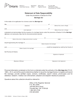 Sole Responsibility Letter Template  Form