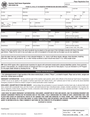 Ayso Player Registration Form