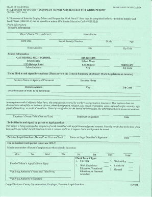 Indiana Work Permit Form