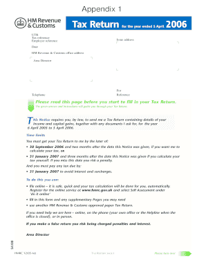 SA100 06 Tax Return  Form