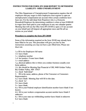 Jfs 20100 Form PDF