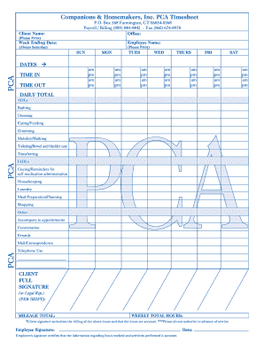 Pca Timesheet Template  Form