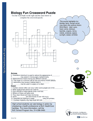 Bjc School Outreach Crossword Form