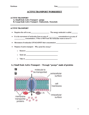 Active Transport Worksheet  Form