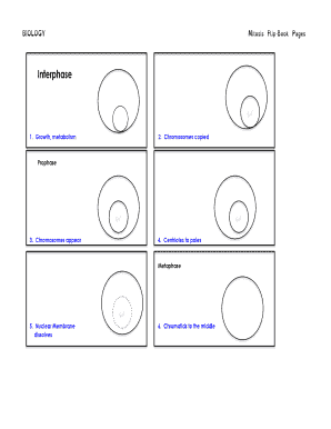 Mitosis Flip Book 25 Pages  Form