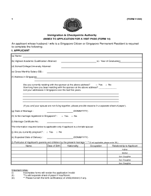 Form V234 ICA