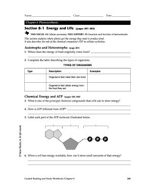 Energy and Life Worksheet  Form