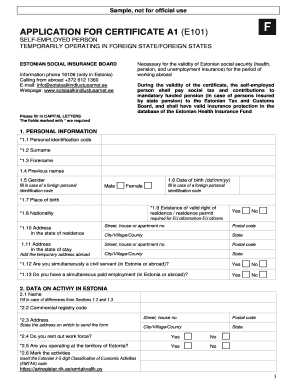 E101 Form