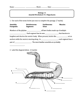 Annelid Worksheet Answer Key  Form