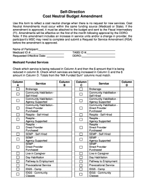 Sample Self Direction Budget  Form