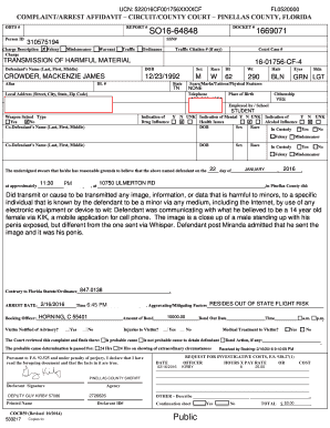 Arrest Affidavit Example  Form