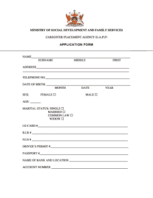 Gapp Application Form