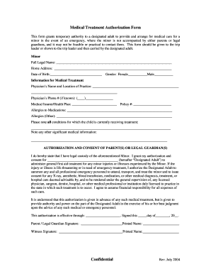 This Form Grants Temporary Authority to a Designated Adult to Provide and Arrange for Medical Care for a