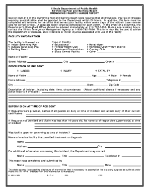  Drowning Injury Illness Report Illinois Department of Public Health Idph State Il 2002