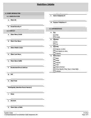 Nutrition Intake Form PDF