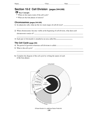 Section 10 2 Cell Division Pages 244 249  Form