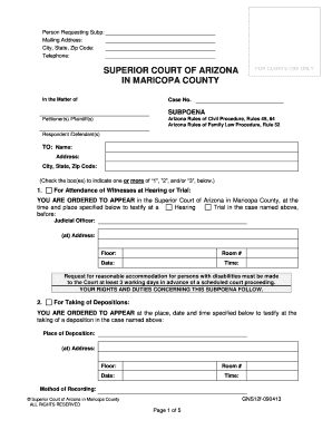 PersonAttorney Filing Superior Court Maricopa County Superiorcourt Maricopa  Form