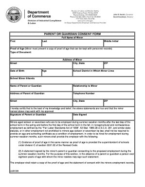Proof of Guardianship Blank Form