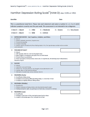 Ham D PDF  Form