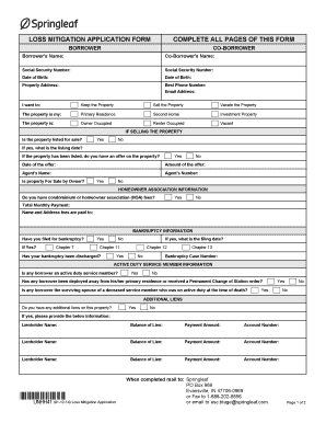 Loss of Mitigation Application  Form