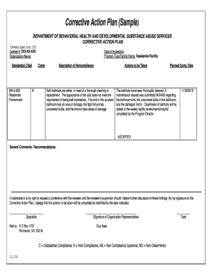  Sample Corrective Action Plan for Behavior 2010