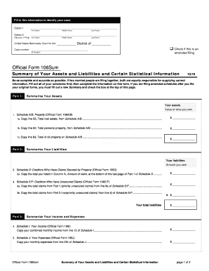Official Form 106sum
