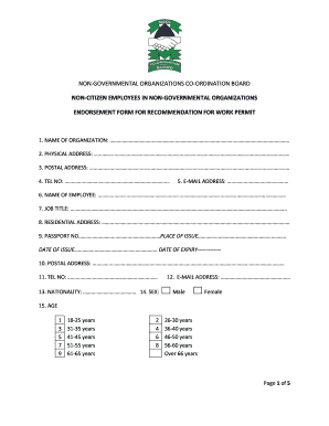 NGO Board Work Permit Endorsement Form