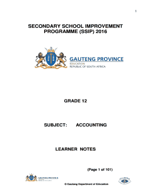 Ssip Accounting Grade 12  Form