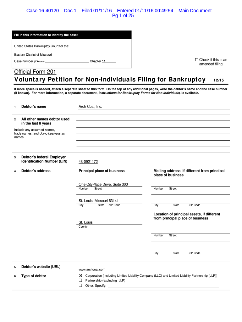 Official Form 201