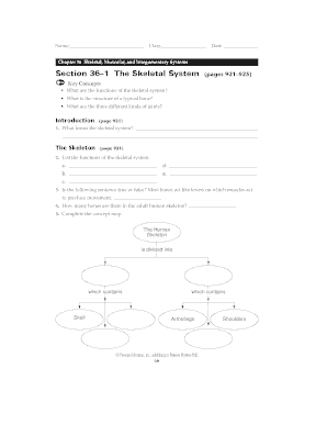 Section 36 1 the Skeletal System Pages 921 925 Answers  Form