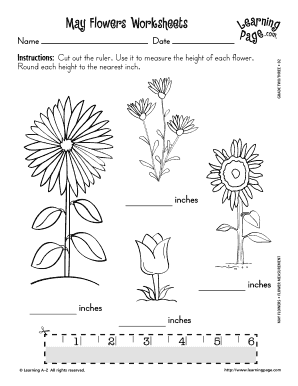May Flowers Worksheets  Form