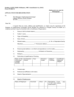 Pcrdp Punjab  Form