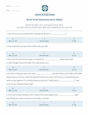 Brief Grief Questionnaire  Form