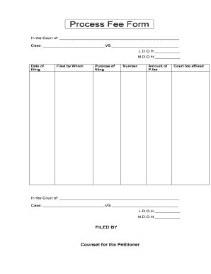 How to Fill Process Fee Form