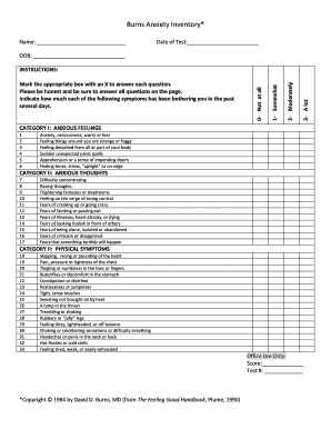 Burns Anxiety Inventory Printable  Form