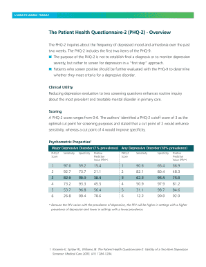 The Patient Health Questionnaire 2 PHQ 2 Overview  Form