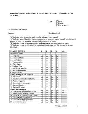 Strengths and Needs Assessment Example  Form