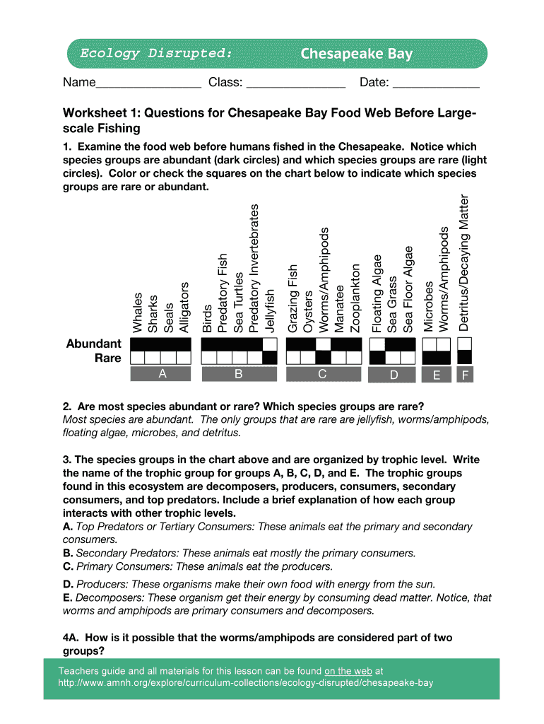 Worksheet 1 Questions  Form