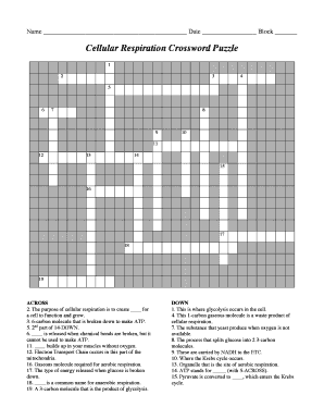 Cellular Respiration Crossword Puzzle Answer Key PDF  Form