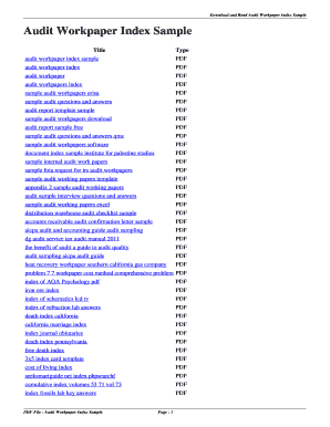 Audit Workpaper Index Template  Form