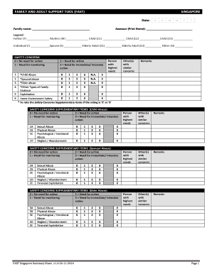 Family and Adult Support Tool  Form