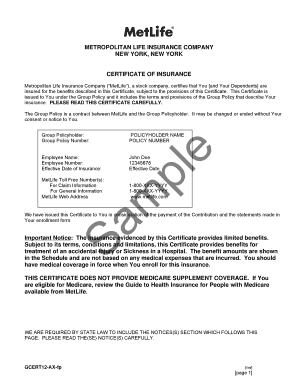 Life Insurance Policy Document Sample  Form