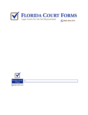 Florida Supreme Court Approved Family Law Form 12 914